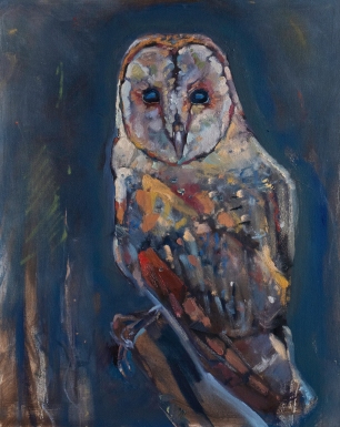 Ghost Owl - Barn Owl 24" x 30" $720